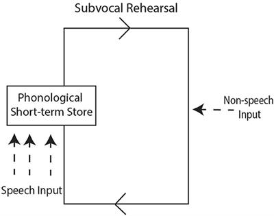 Identifying Stuttering in Arabic Speakers Who Stutter: Development of a Non-word Repetition Task and Preliminary Results